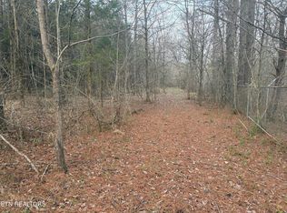 W Lamar Alex Pkwy, Friendsville, TN 37737