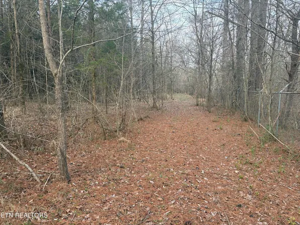 W Lamar Alex Pkwy, Friendsville, TN 37737