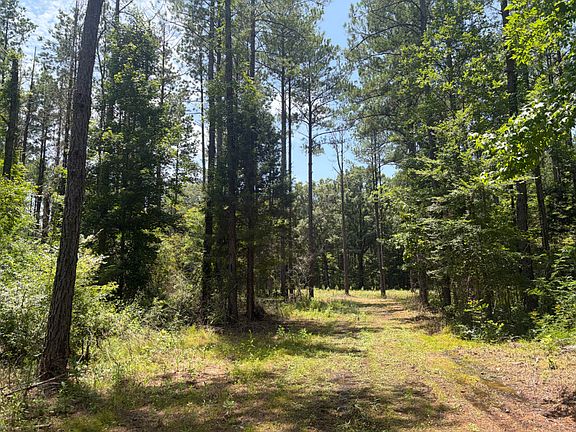 4th image of 0 Elon Rd