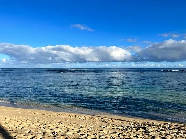 Reef protected for year around swimming, kayaking and SUP