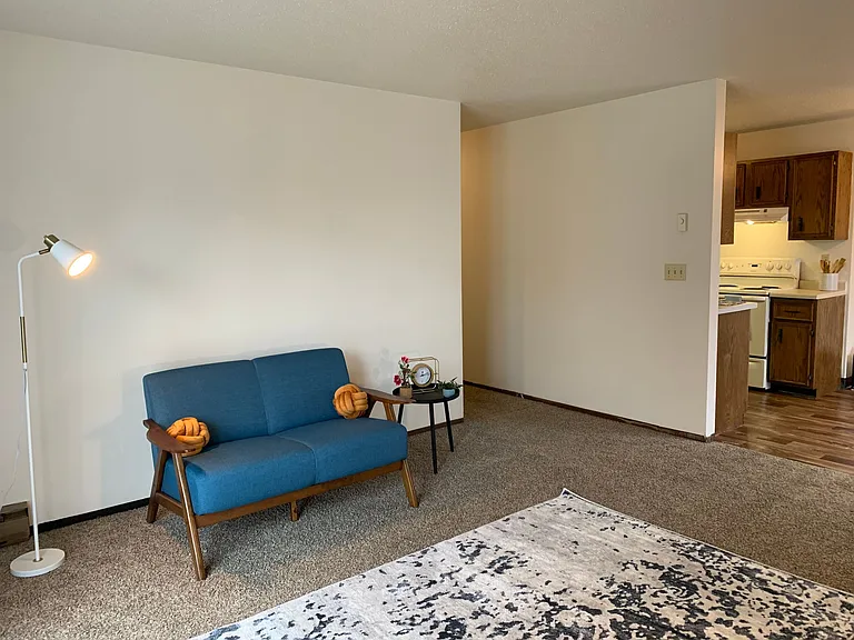 Silver Leaf Apartments — Photo 12