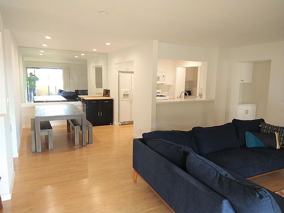 Dining Room - Living Room - Kitchen