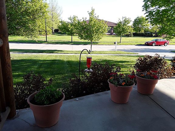 view from front porch