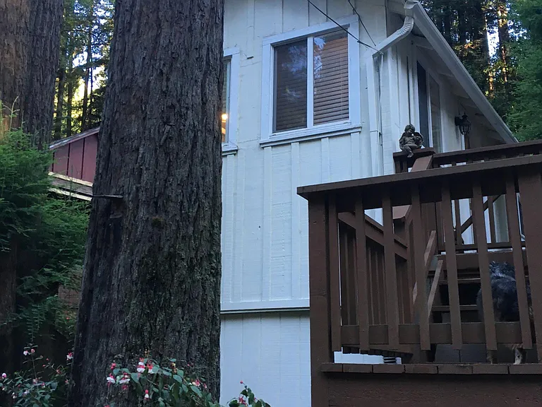 Front of Cabin