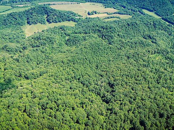 69th image of 131 Gibson Hollow Rd