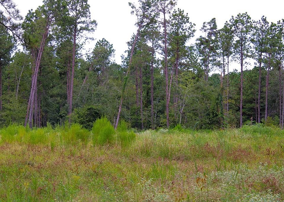 1st image of Pid 29607 Ben Dunn Rd