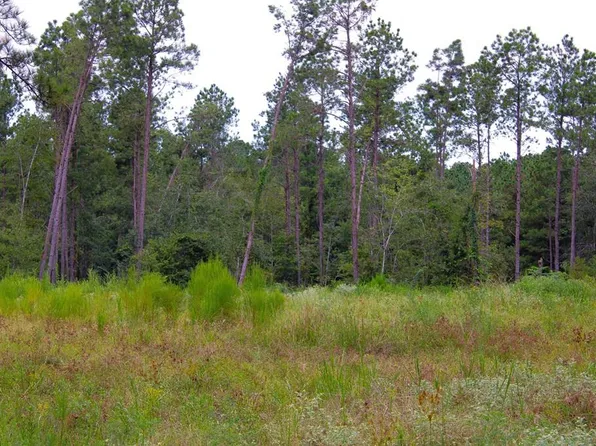 Pid 29607 Ben Dunn Rd, Lufkin, TX 75904