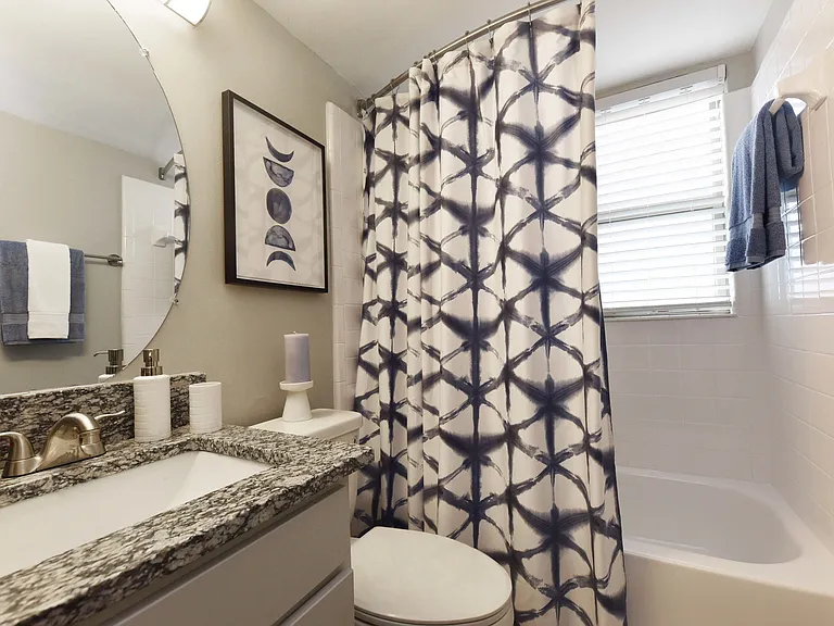Bathroom + Granite Counters