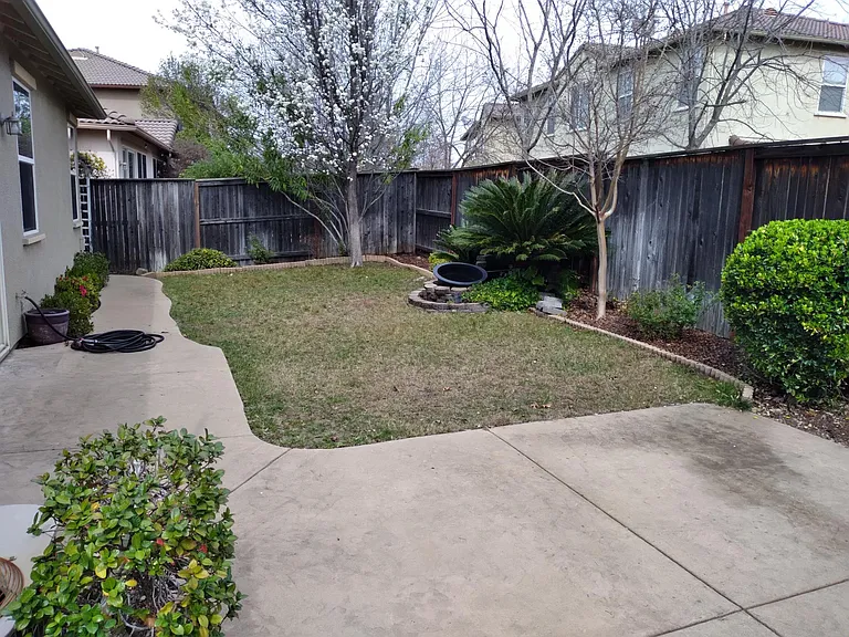 1154 Scheidegger Cir — Photo 6