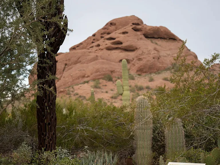 Iconic red rock views and desert trails at Papago Park_just minutes from Modera Rio Salado.