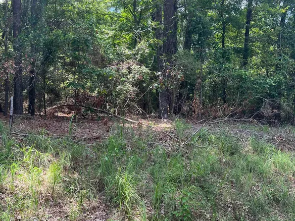 Desirees Trl Lot 18, Tatum, TX 75691