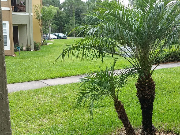 12500 Crest Springs Ln #1014 — Photo 17