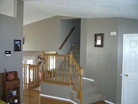 3 tone paint