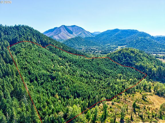 2nd image of 1517 Quines Creek Rd