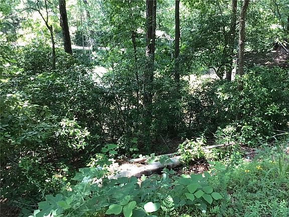 3rd image of 869 Twin Mountain Lake Cir