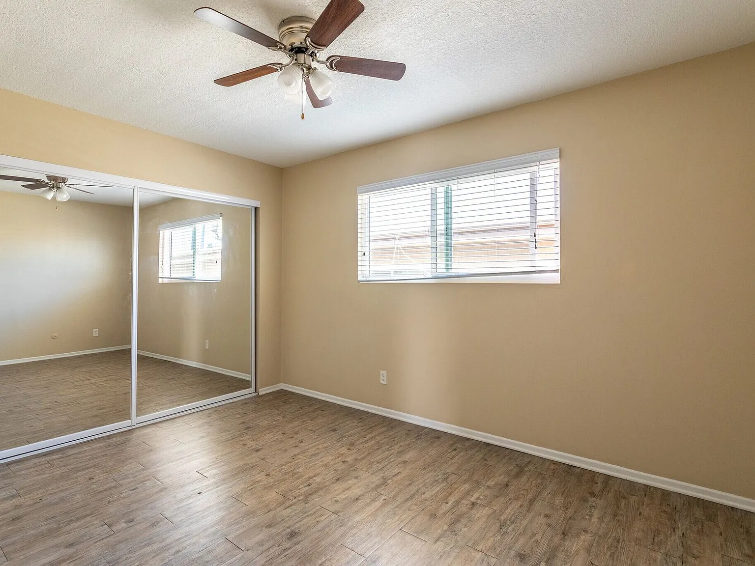 Beautiful Sago Palms - Ask about our MOVE-IN SPECIALS! — Photo 2