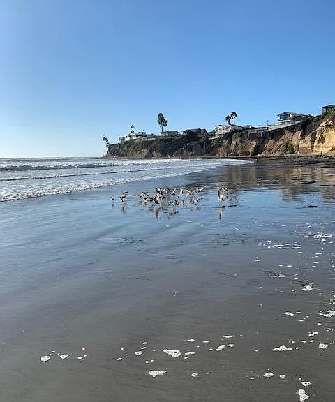 View from the beach in front, on a walk past Tourmaline Beach and right up to Bird Rock. The southern walk is incredible, 2 miles to the Roller Coaster. etc etc. Best location on the planet!