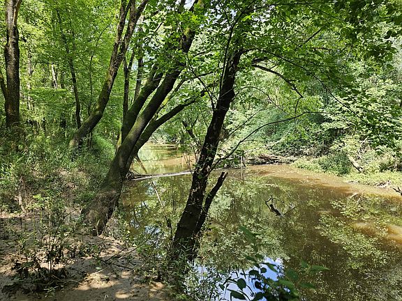 Muddy Creek as viewed on the southern portion of the property.