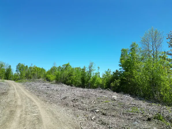 Lot 1 Shep Road Extension, Springfield, ME 04487