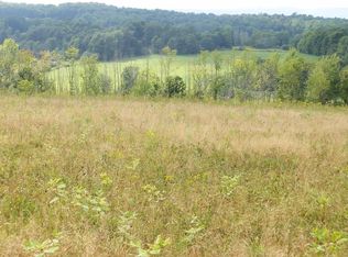 9894 Doyle Rd, West Edmeston, NY 13485