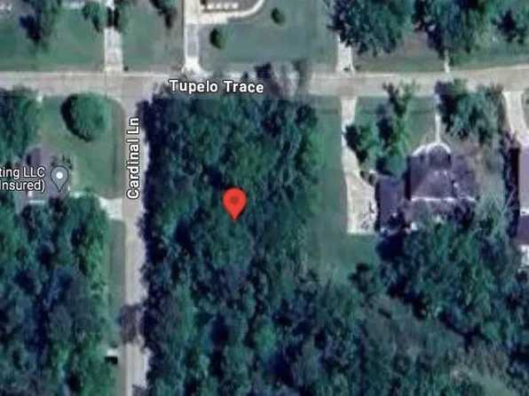 22 Tupelo Trc, Mandeville, LA 70471