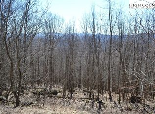 Tbd Holiday Ln, Whitetop, VA