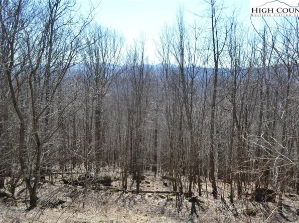 TBD Holiday Lane, Whitetop, VA 24292