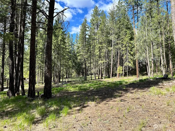 7 Mustard Mountain Road, Winthrop, WA 98862