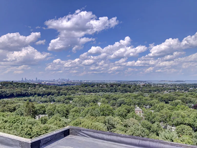 Boston Skyline Views