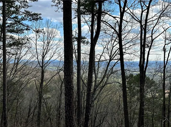 0 Pittman Rd NE, Ranger, GA 30734