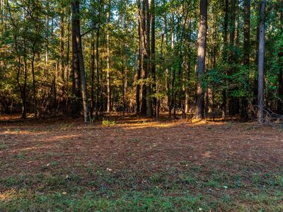 Wildwood Trl, Mount Vernon, TX, 75457