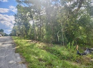 3100 E Odier St, Inverness, FL 34453
