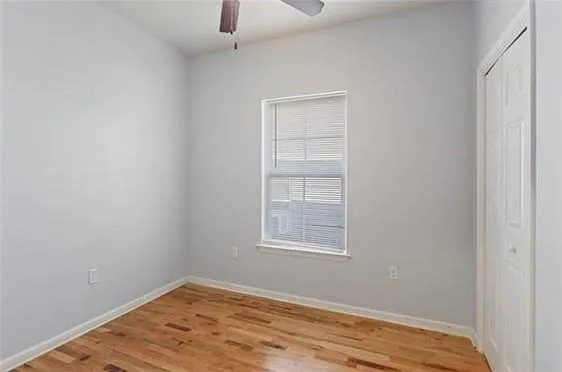 2 bed, 1.0 bath, 736 sqft, $1,500 — Photo 4