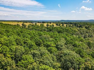 351 Cochran Rd, Mountain View, AR 72560