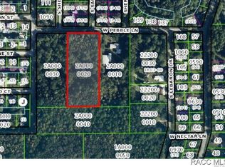 8288 W Pebble Ln, Homosassa, FL 34448