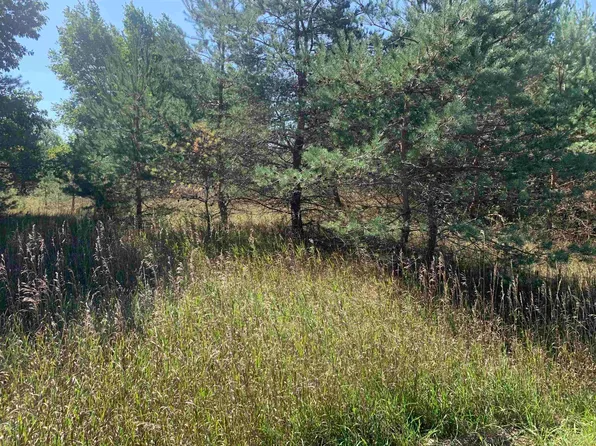 7700 W Drew Rd, Weidman, MI 48893