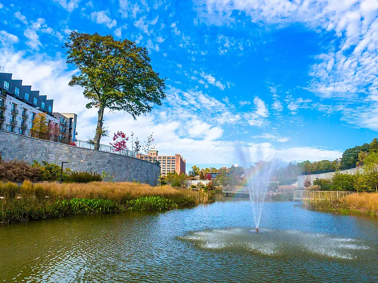 Take a 10-minute walk from your apartment to find yourself in the beautiful Historic Fourth Ward Park