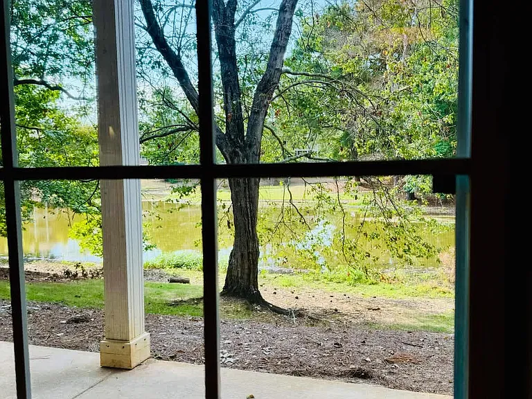Window View