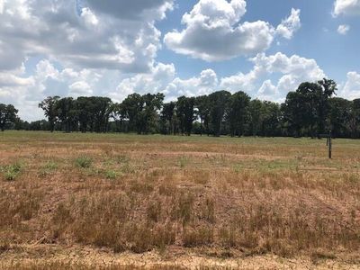 30810 Riverlake Rd, Fulshear, TX, 77441