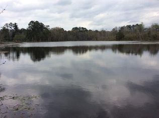 251 S Friendship Dr, Georgiana, AL 36033