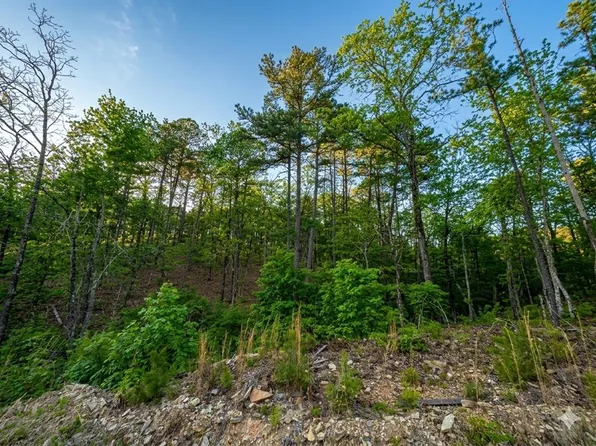 63 Western Cedar Trl, Broken Bow, OK 74728