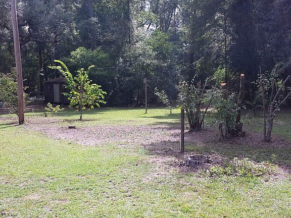 Fruit Trees and landscaping