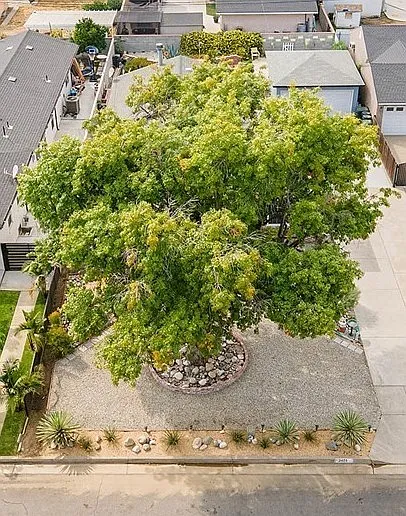 2449 S Graydon Ave — Photo 2