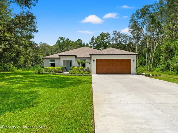 34132 Cornerstone Dr, Webster, FL 33597