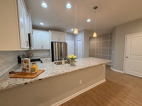 24 Pindo Palm Dr Photo 1