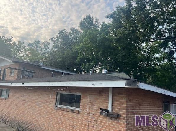 baton-rouge-louisiana-66284939 picture