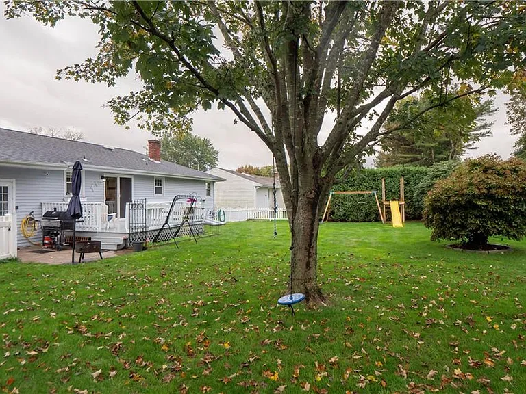 back yard