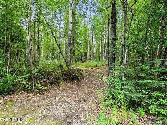 17th image of 48761 S Silver Salmon Dr