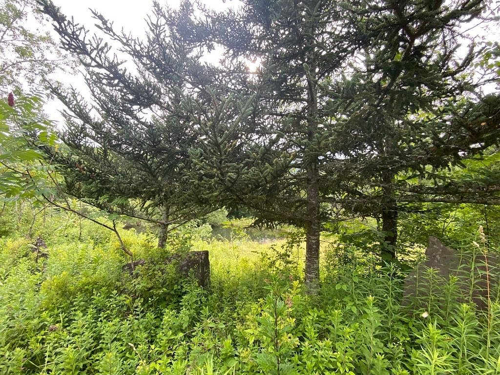 687 Route 1, Halcott Center, NY 12430 Zillow