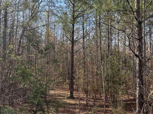 Speigner Rd, Ridge Spring, SC 29129